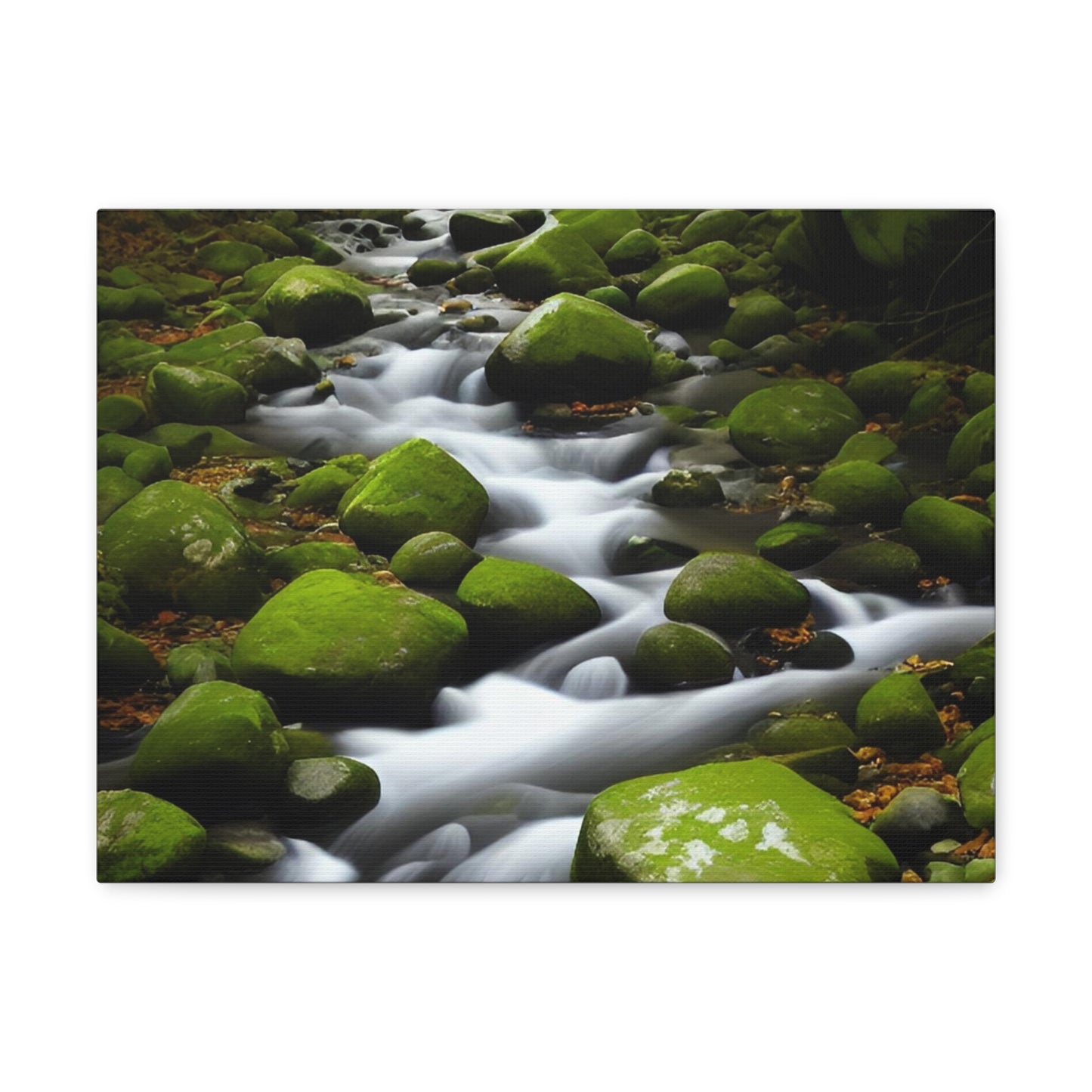 Calming stream flowing through a verdant wood