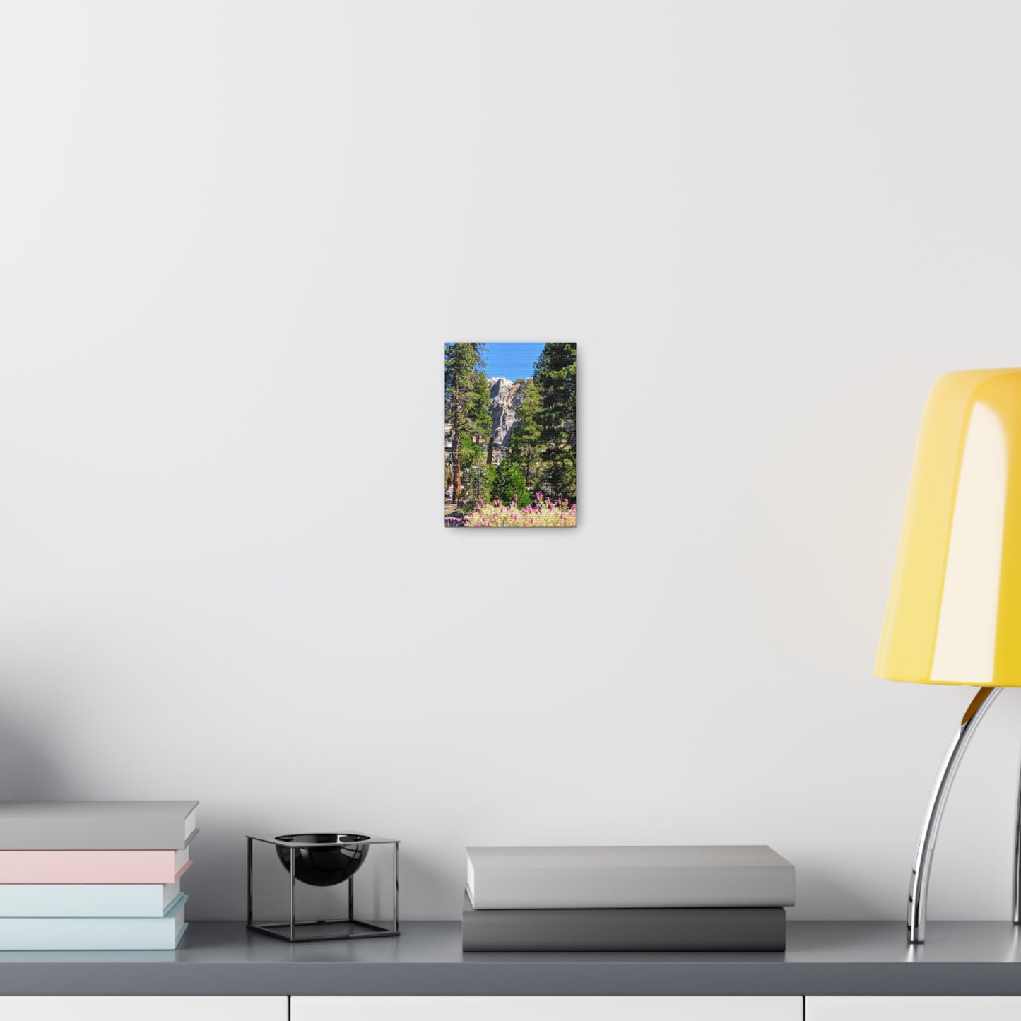 Mount San Jacinto State Park #1 - Canvas Gallery Wraps