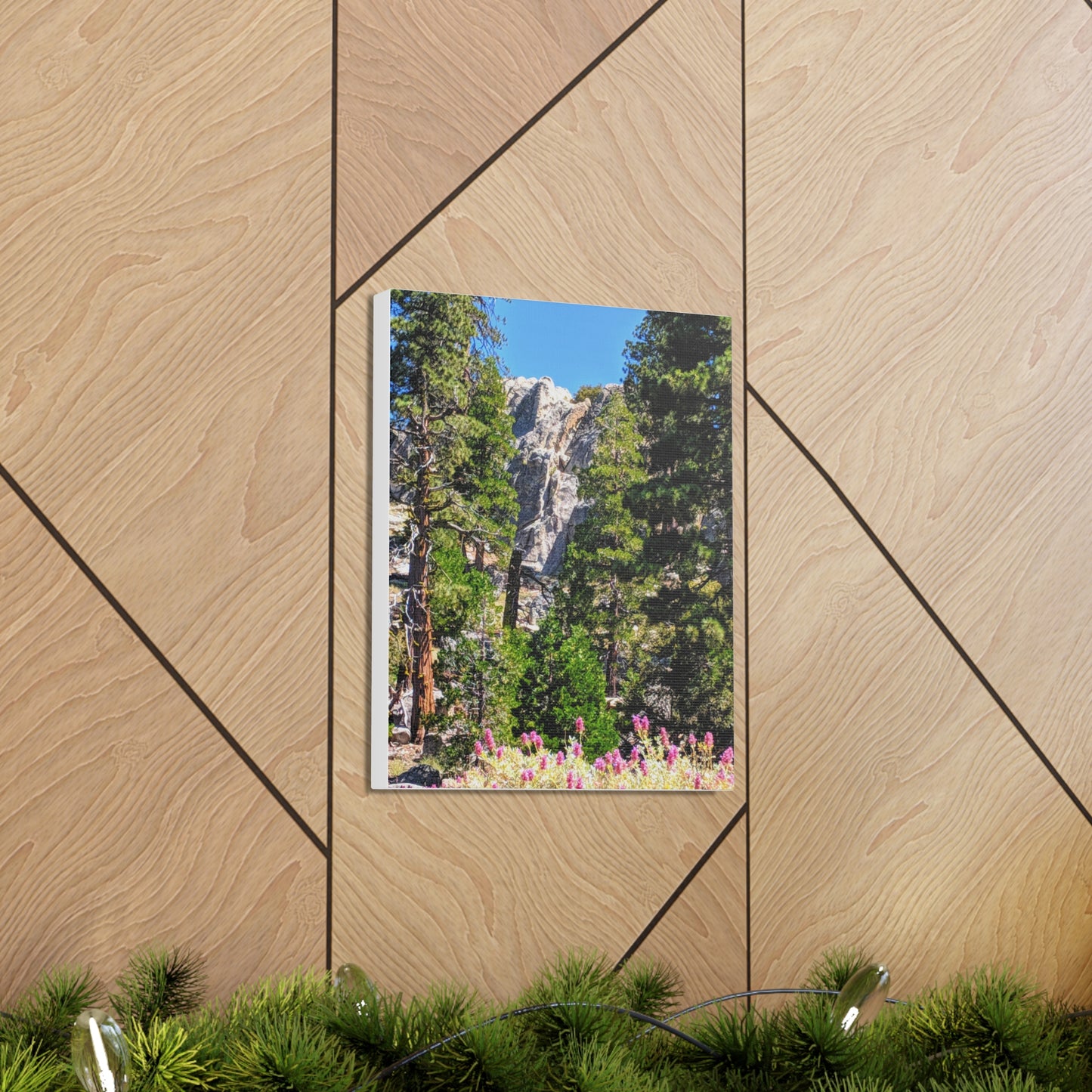 Mount San Jacinto State Park #1 - Canvas Gallery Wraps