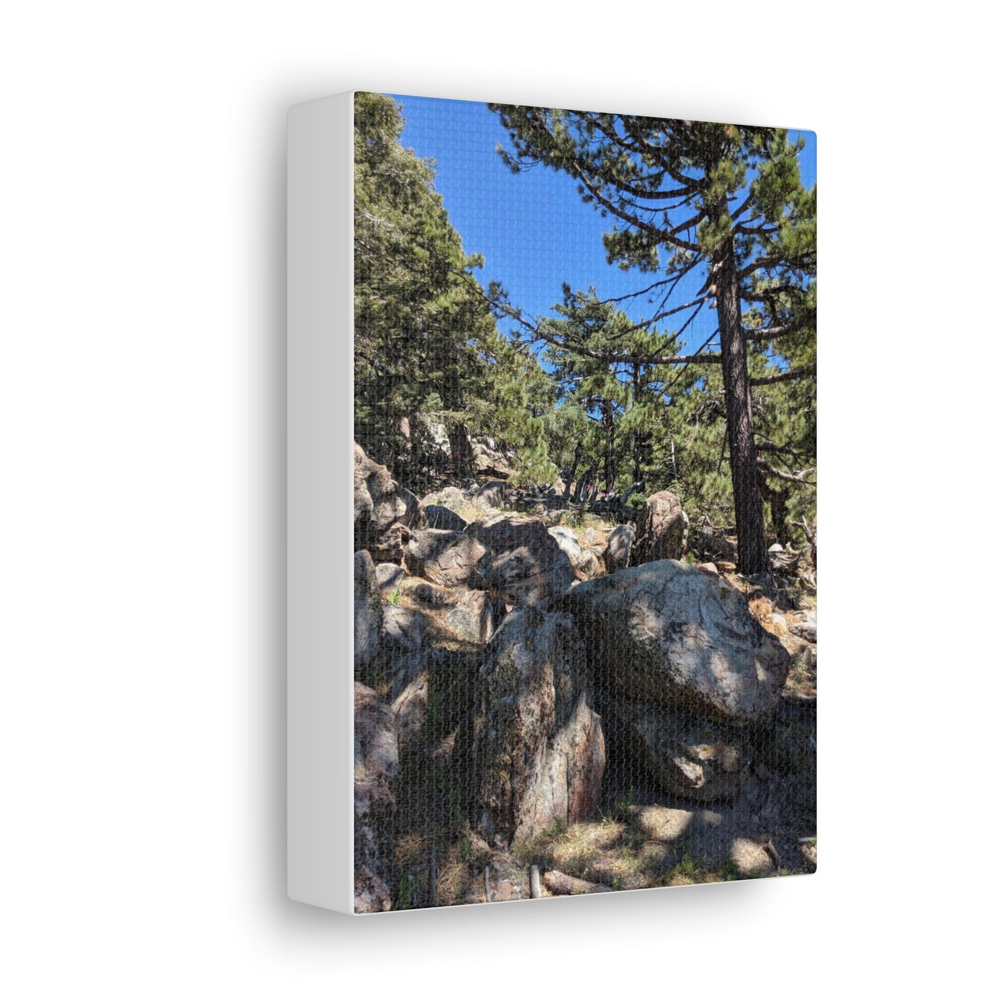 Mount San Jacinto State Park #2 - Canvas Gallery Wraps