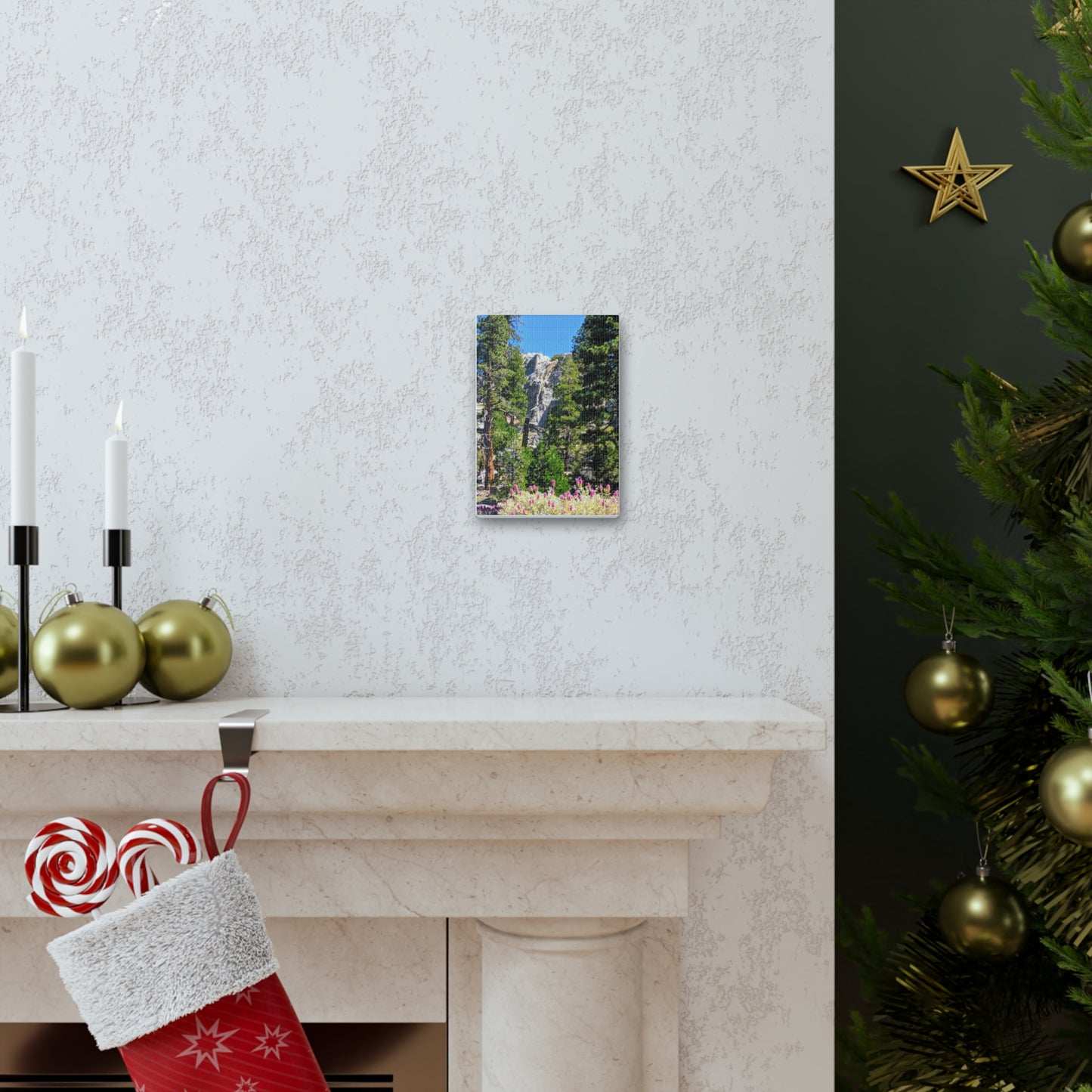 Mount San Jacinto State Park #1 - Canvas Gallery Wraps