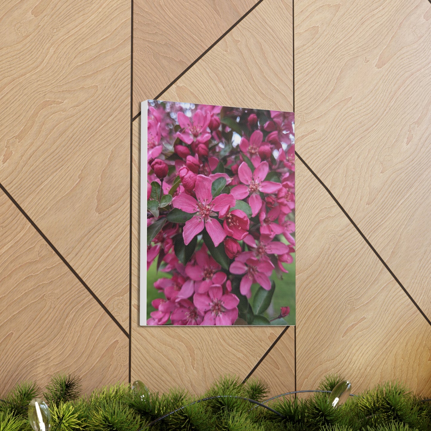 Apple Blossoms - Canvas Gallery Wraps