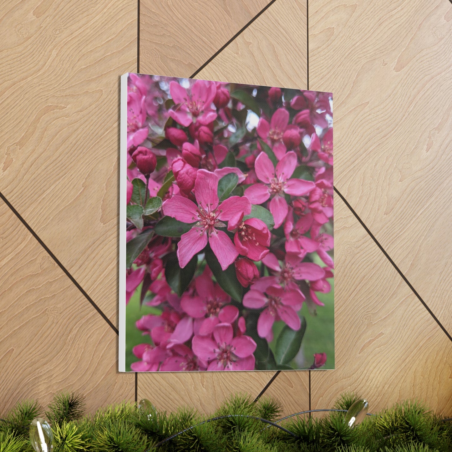Apple Blossoms - Canvas Gallery Wraps