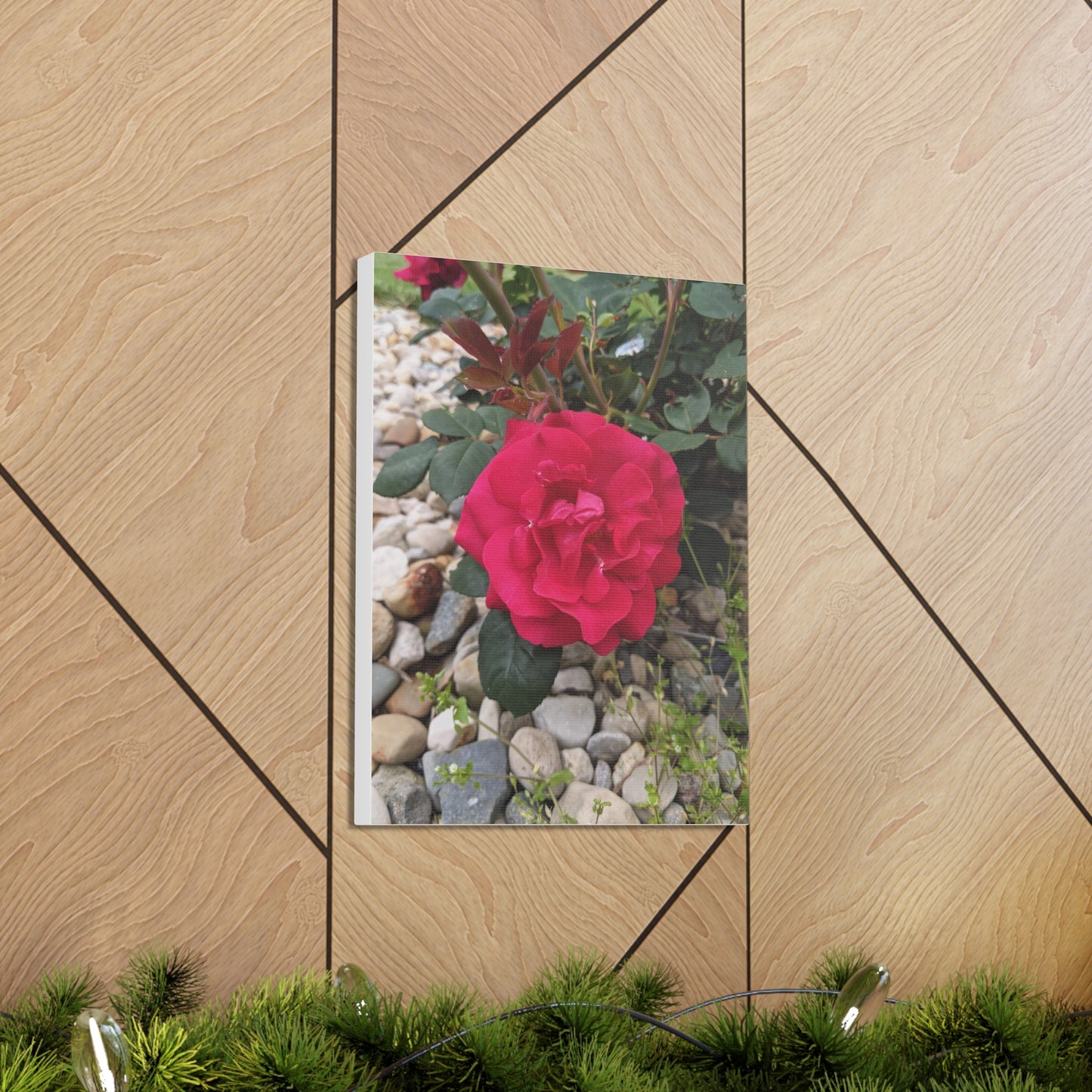 A Garden Rose - Canvas Gallery Wraps