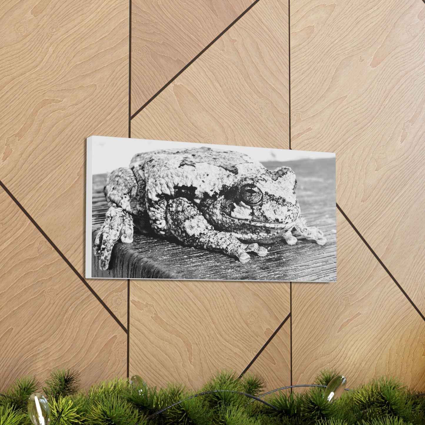 Tree Frog Patience - Canvas Gallery Wraps