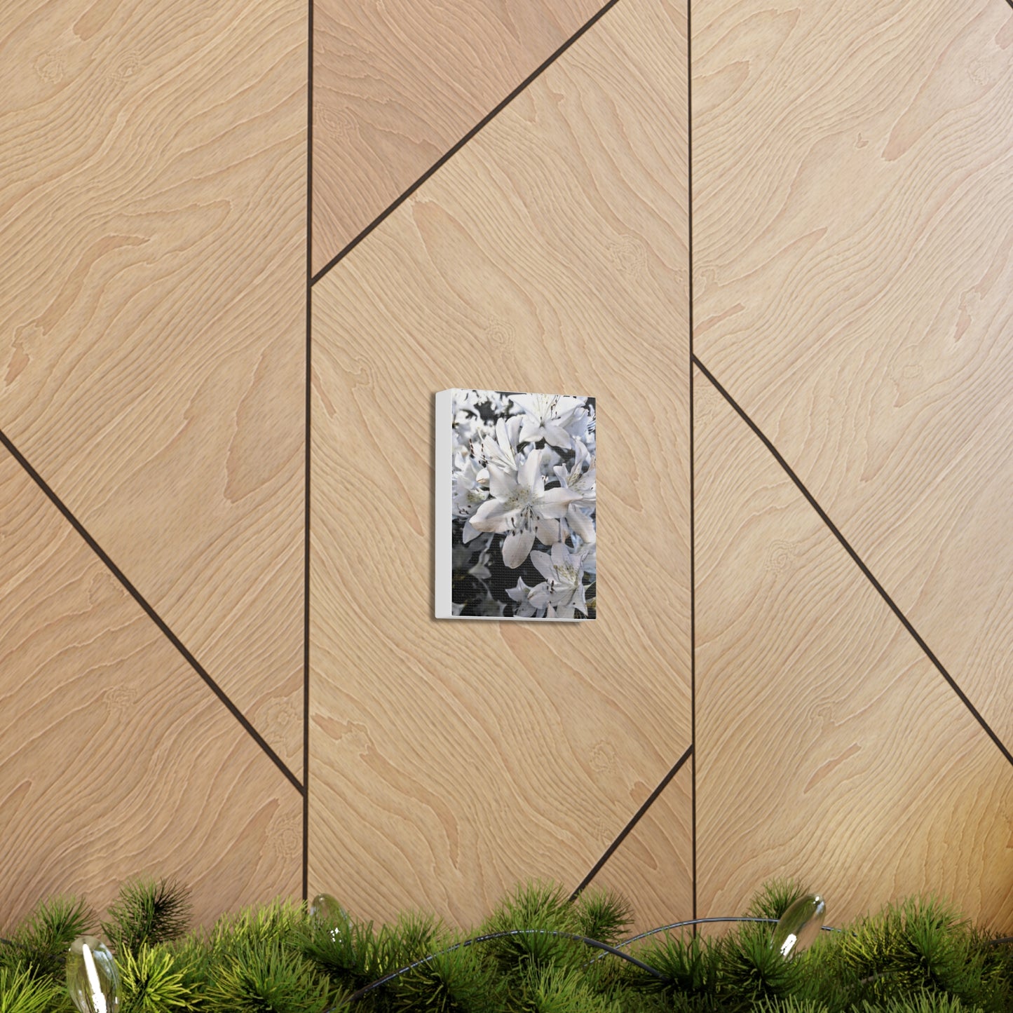 Classic White Blooms - Canvas Gallery Wraps
