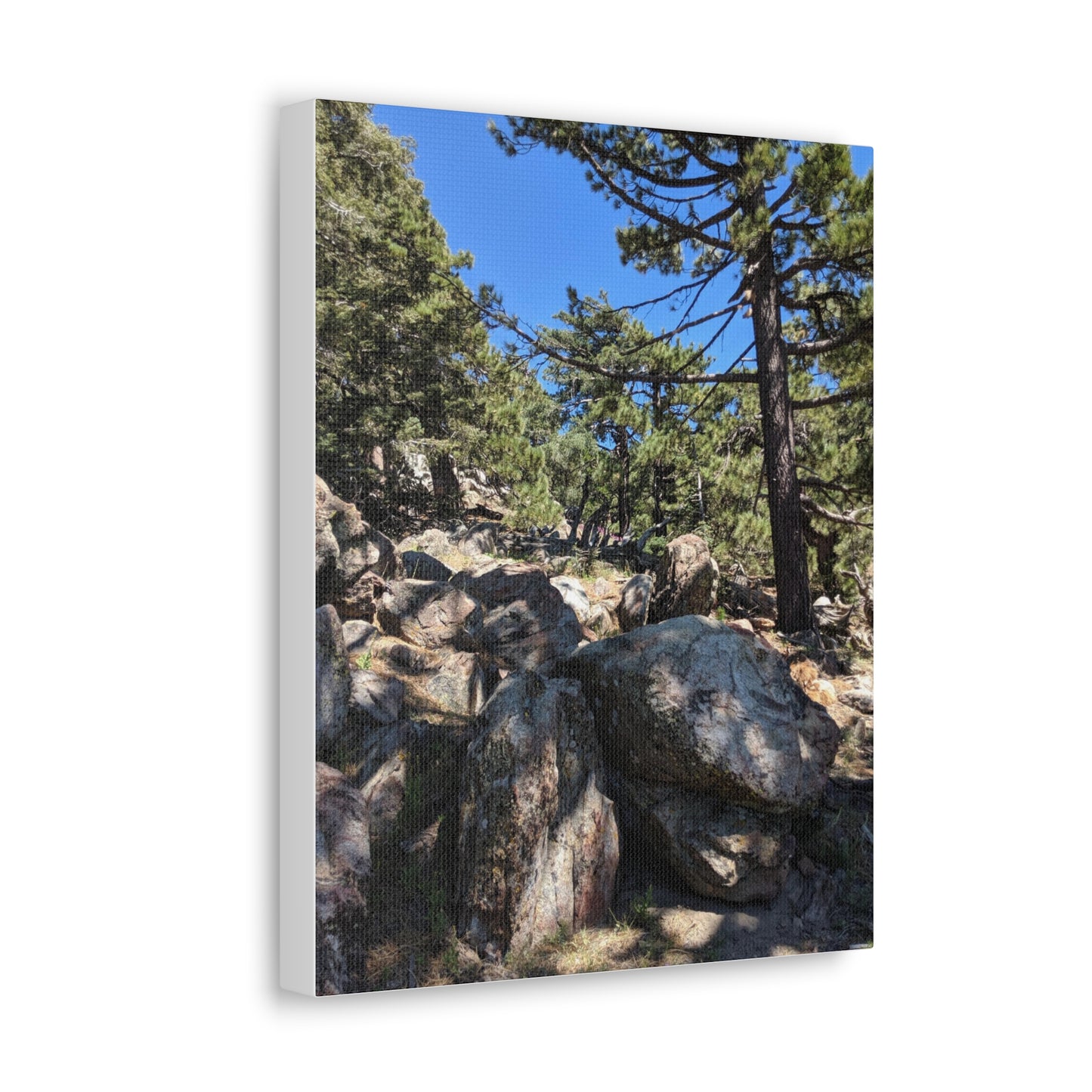 Mount San Jacinto State Park #2 - Canvas Gallery Wraps