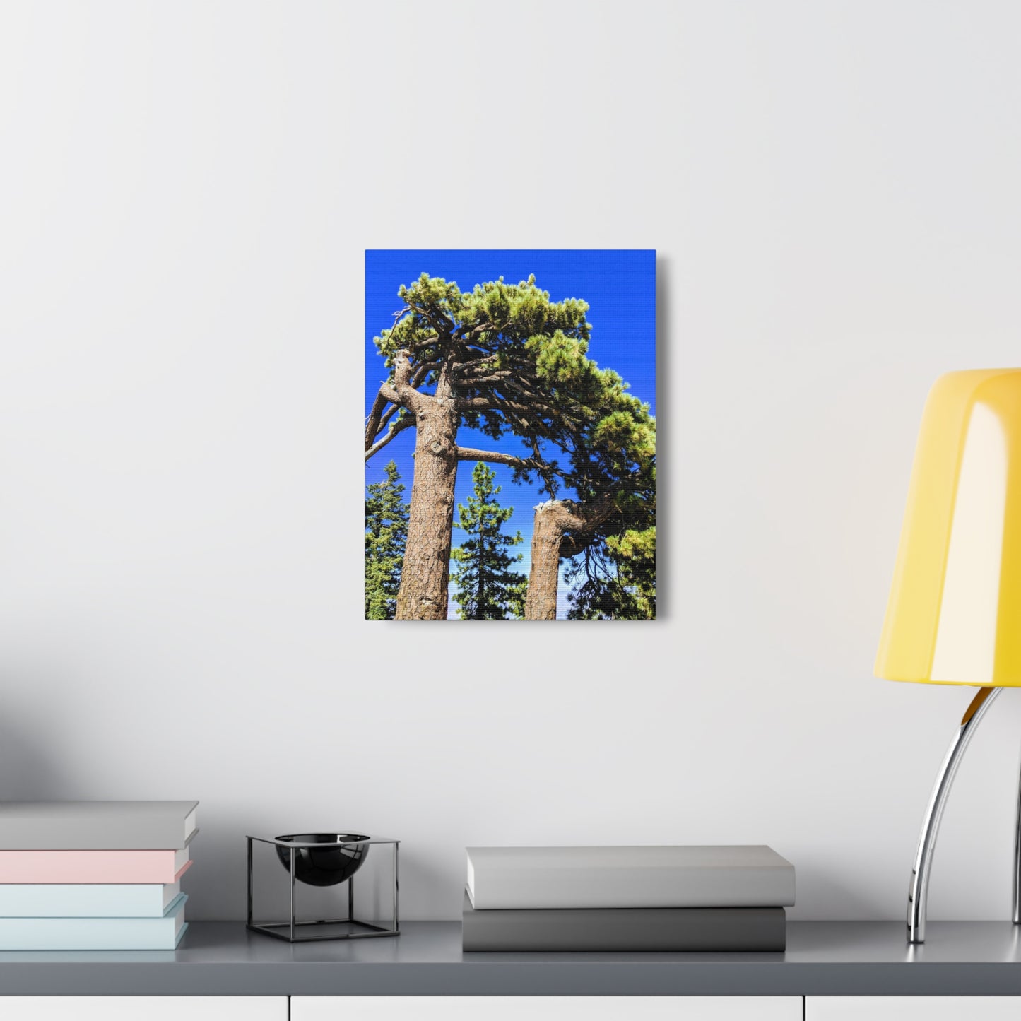 Mount San Jacinto State Park #3 - Canvas Gallery Wraps