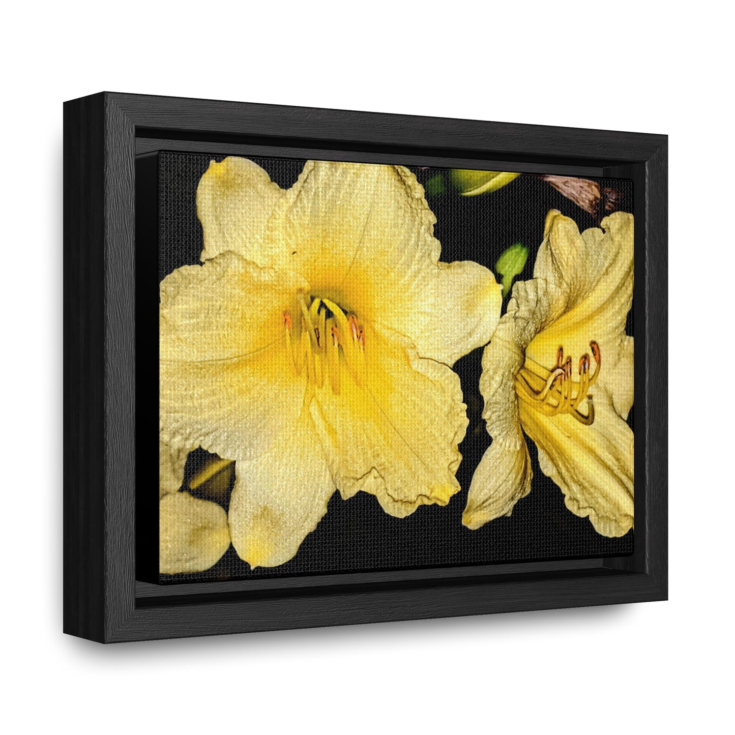 Yellow Flower - Gallery Canvas Wraps, Horizontal Frame