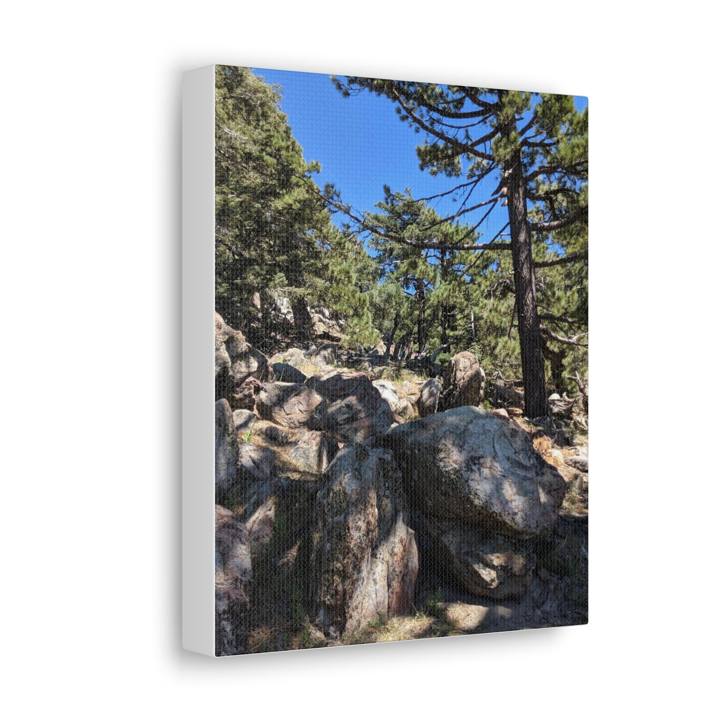 Mount San Jacinto State Park #2 - Canvas Gallery Wraps