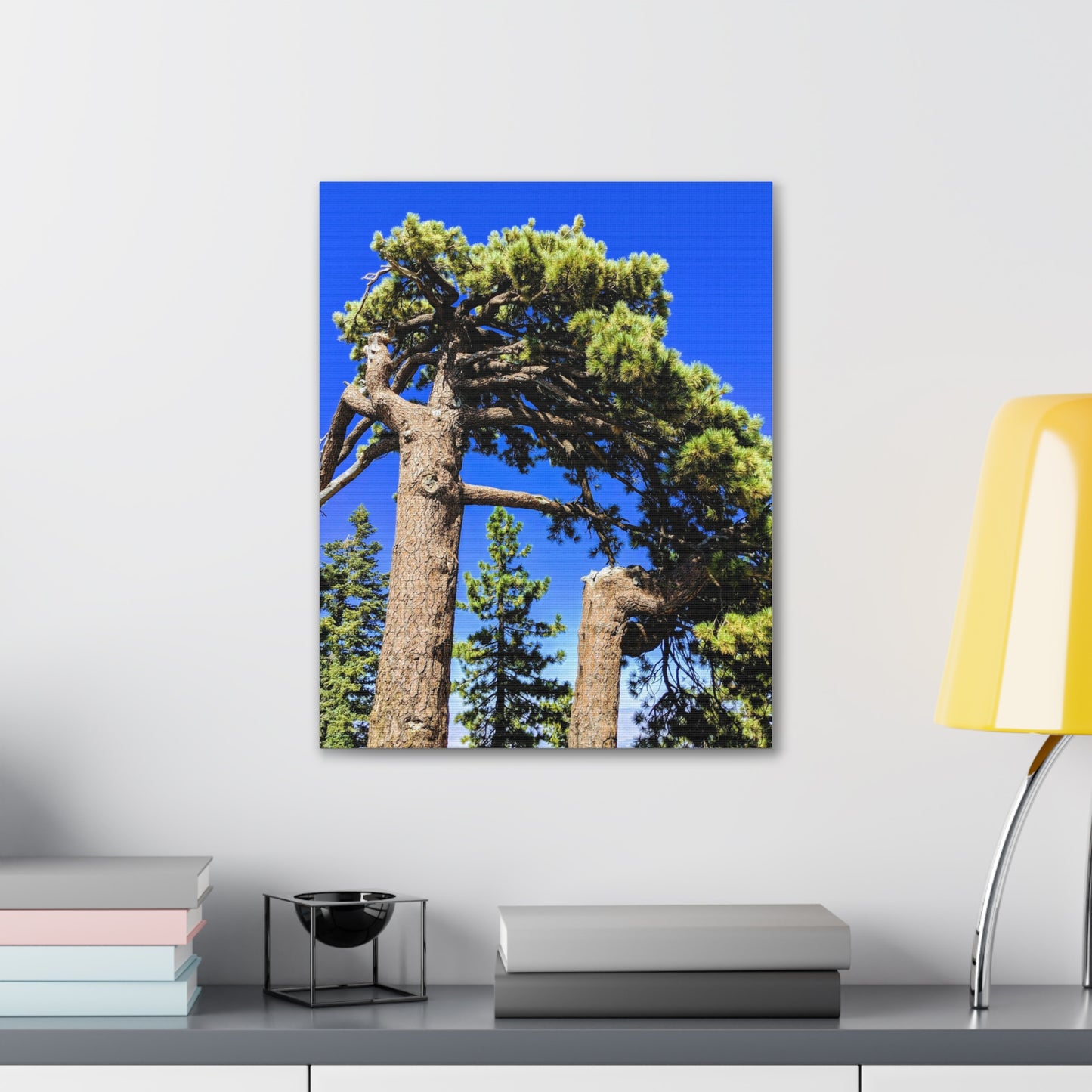 Mount San Jacinto State Park #3 - Canvas Gallery Wraps