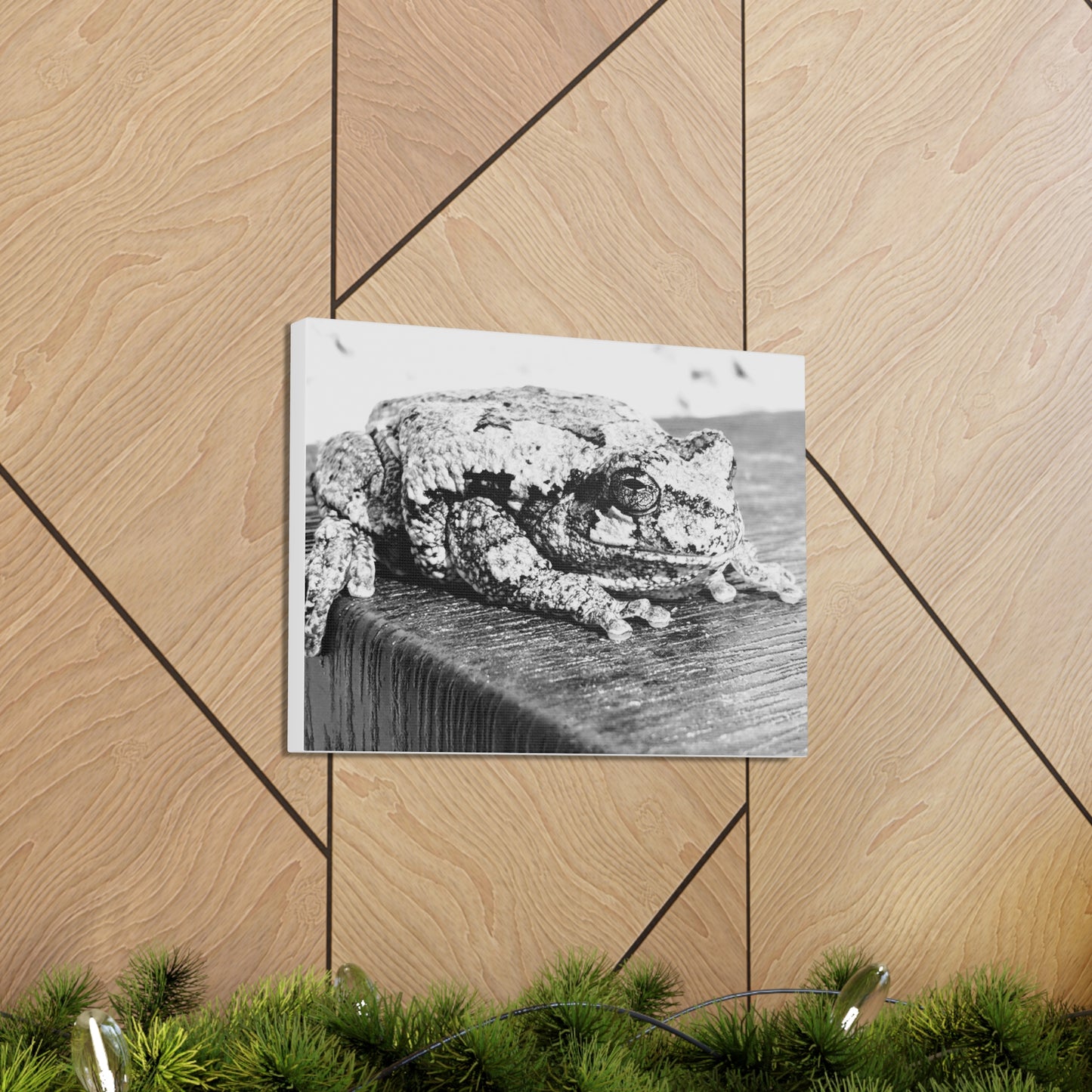 Tree Frog Patience - Canvas Gallery Wraps