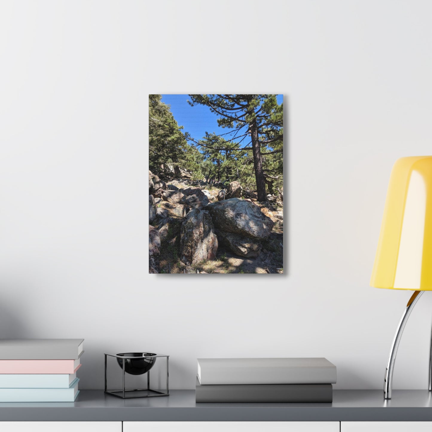 Mount San Jacinto State Park #2 - Canvas Gallery Wraps