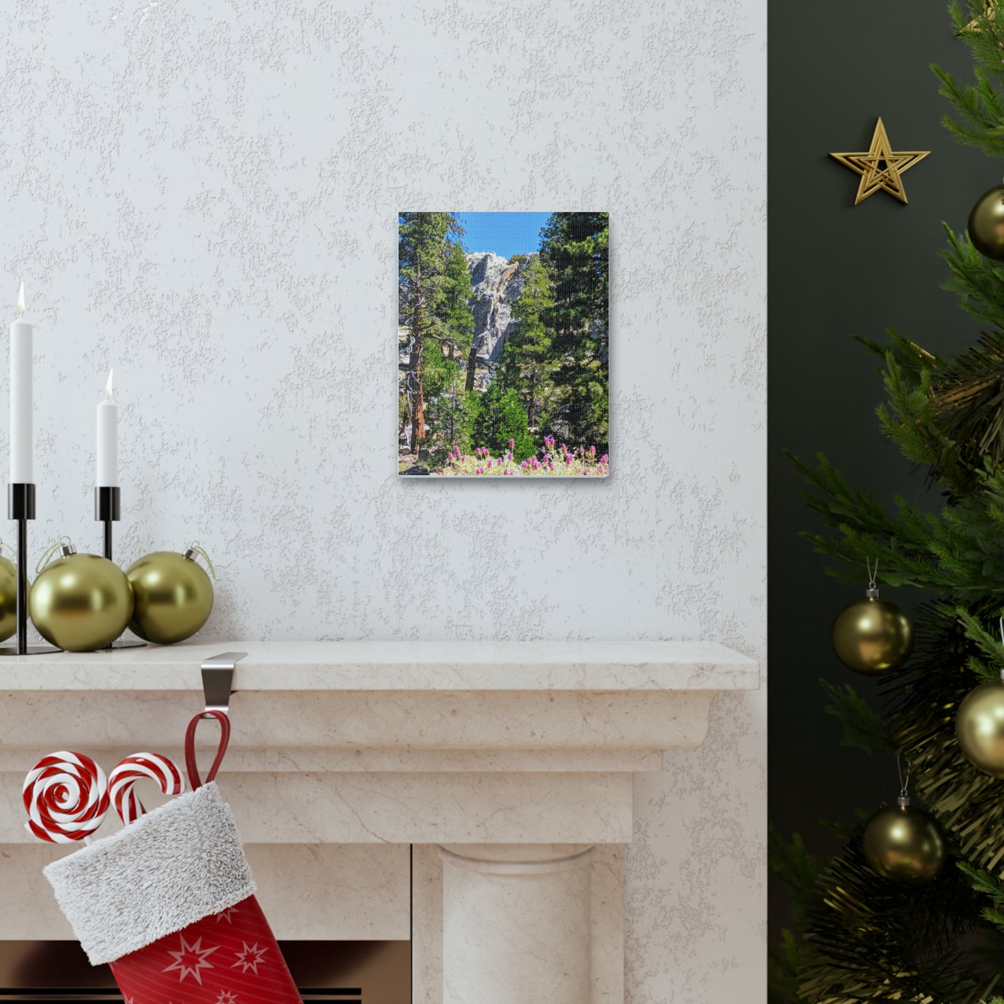 Mount San Jacinto State Park #1 - Canvas Gallery Wraps