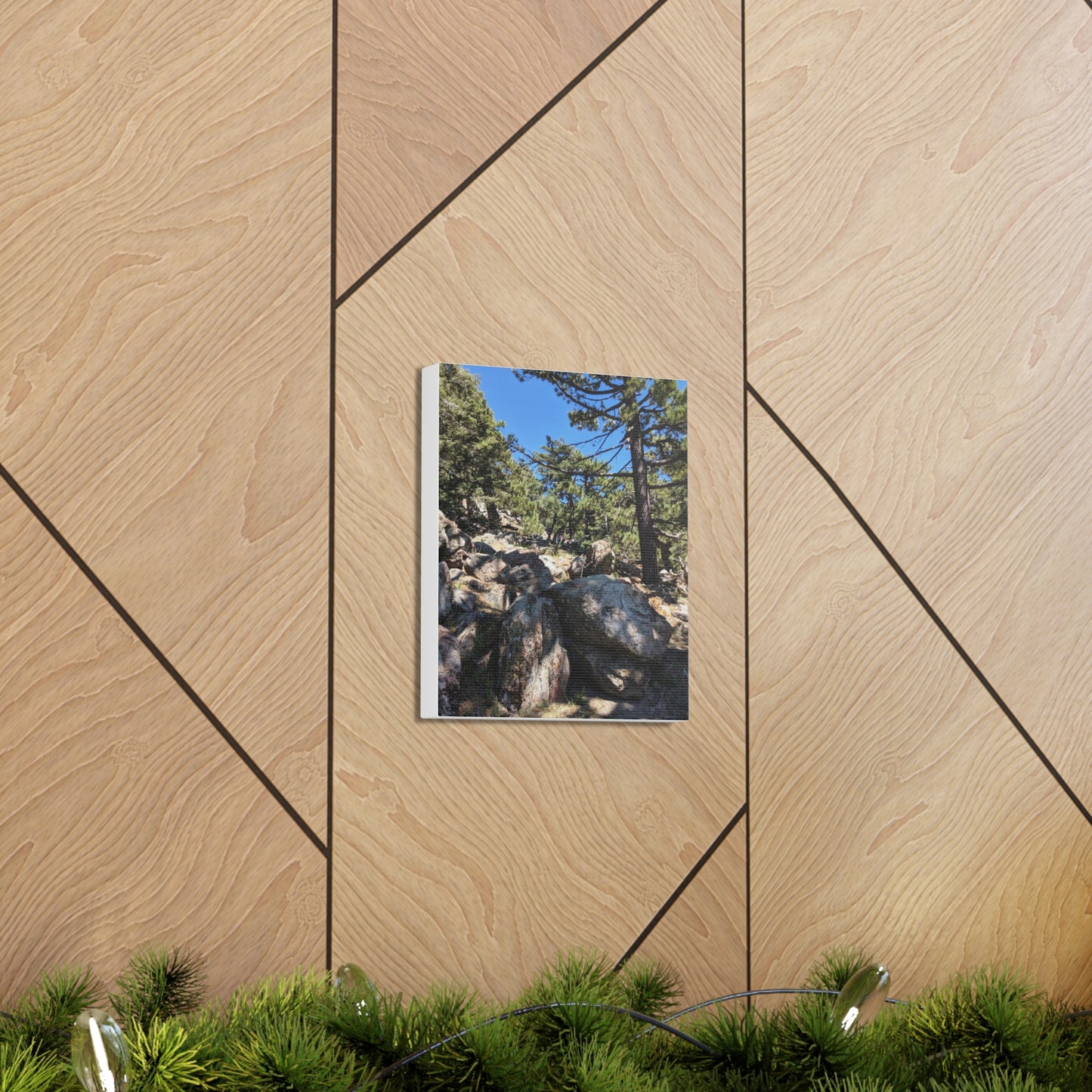 Mount San Jacinto State Park #2 - Canvas Gallery Wraps
