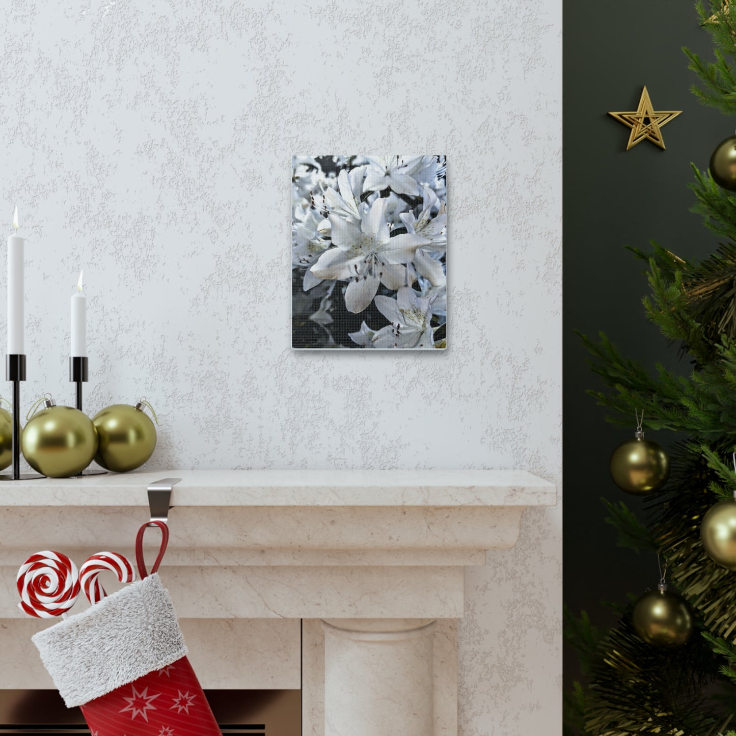 Classic White Blooms - Canvas Gallery Wraps