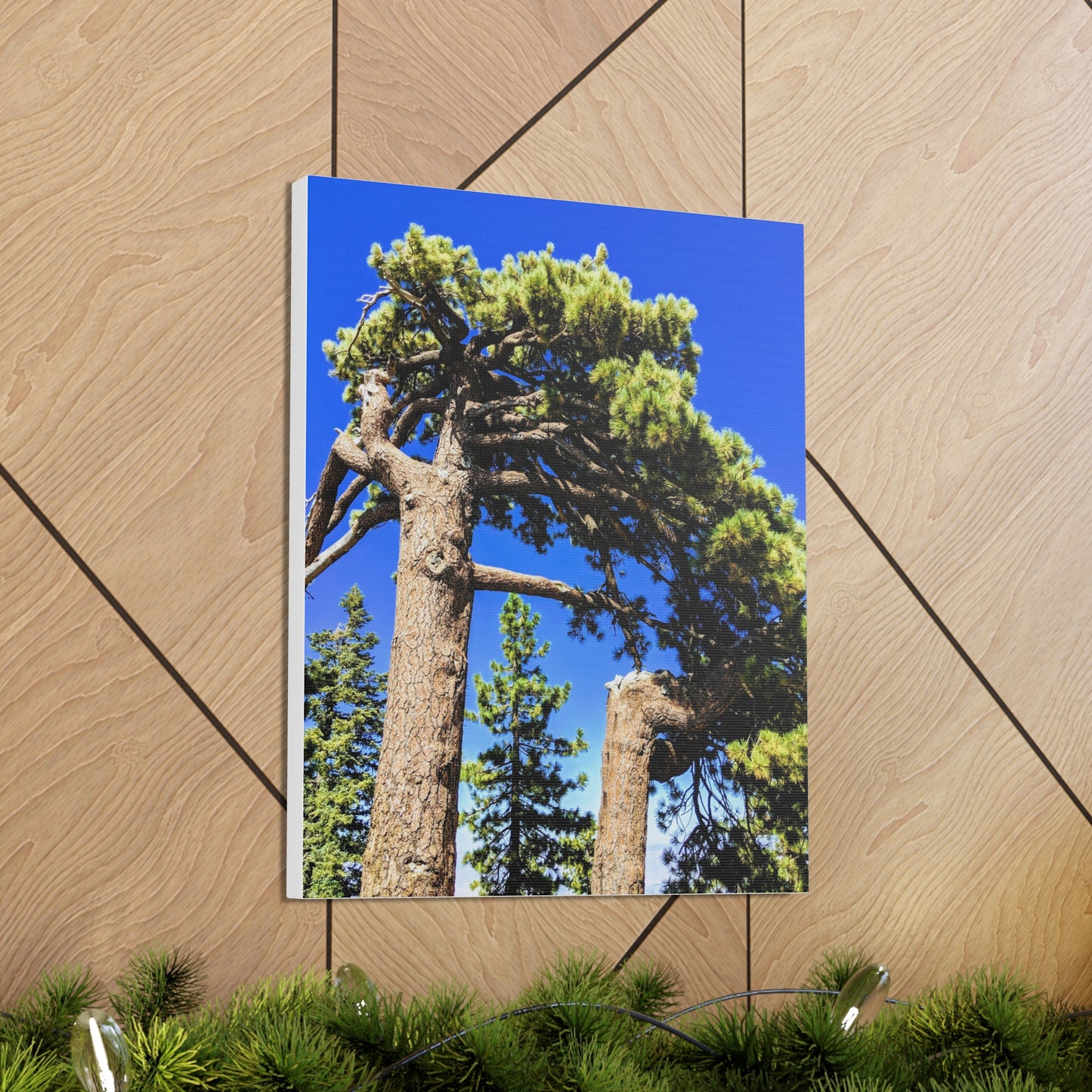 Mount San Jacinto State Park #3 - Canvas Gallery Wraps