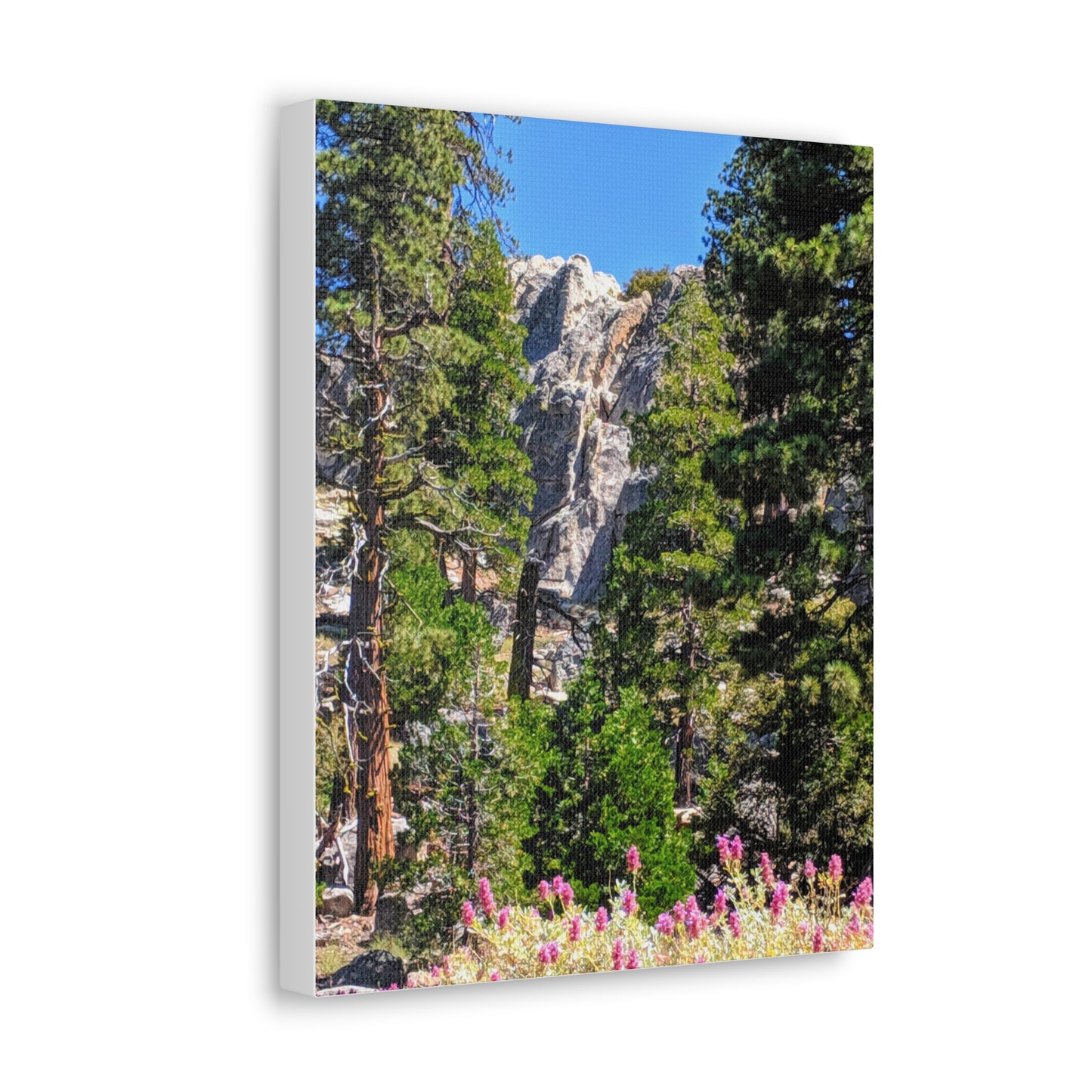 Mount San Jacinto State Park #1 - Canvas Gallery Wraps