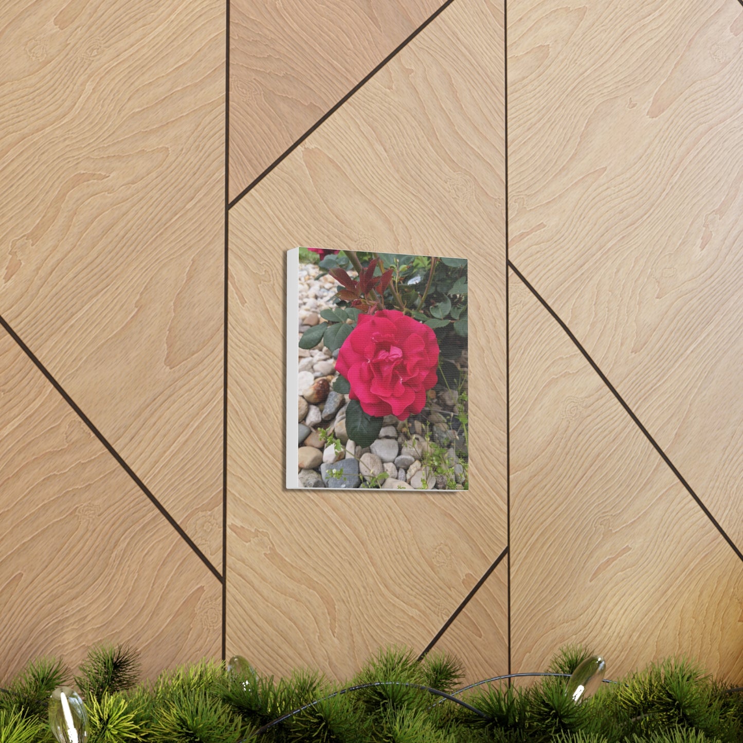 A Garden Rose - Canvas Gallery Wraps