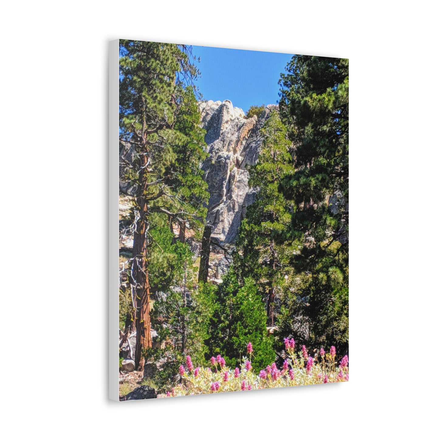 Mount San Jacinto State Park #1 - Canvas Gallery Wraps