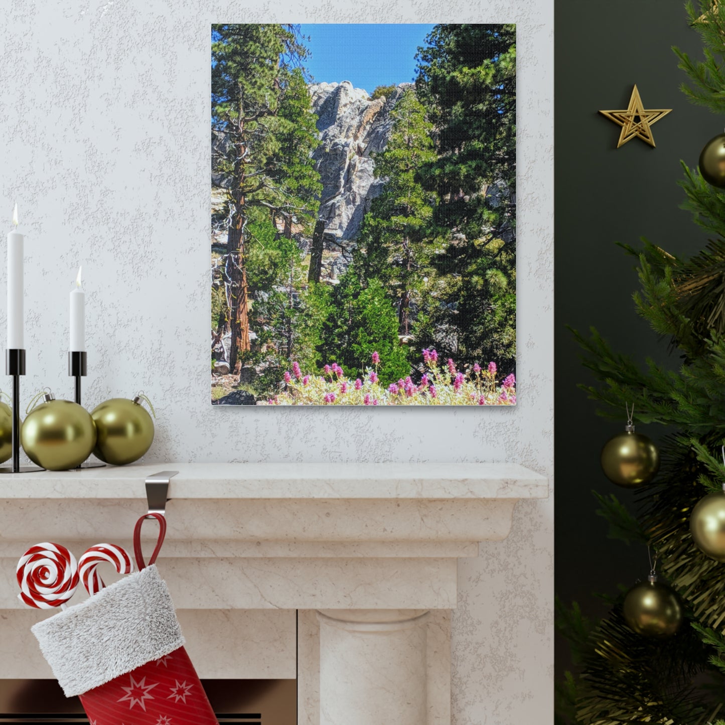 Mount San Jacinto State Park #1 - Canvas Gallery Wraps