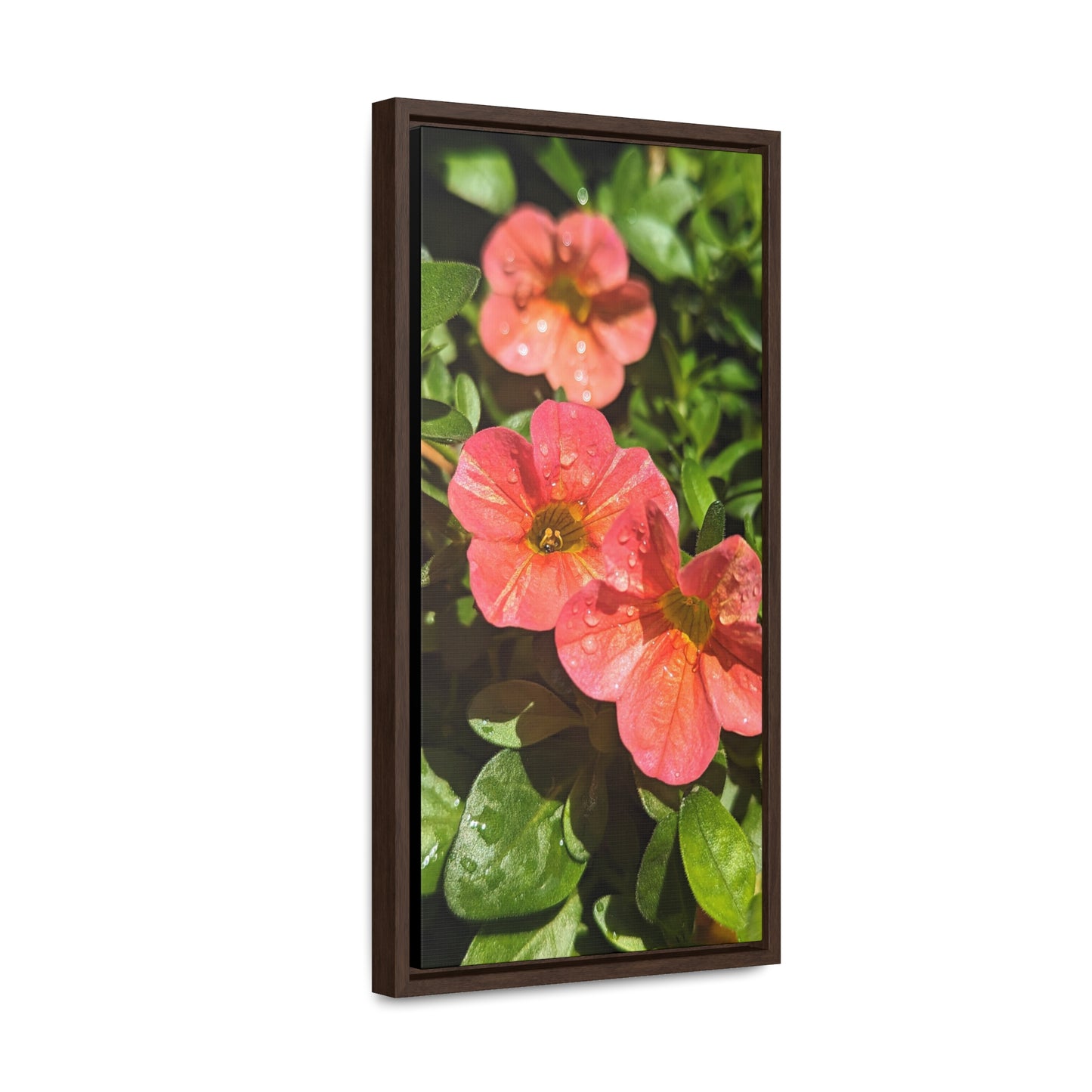 Garden flower after a gentle rain #2