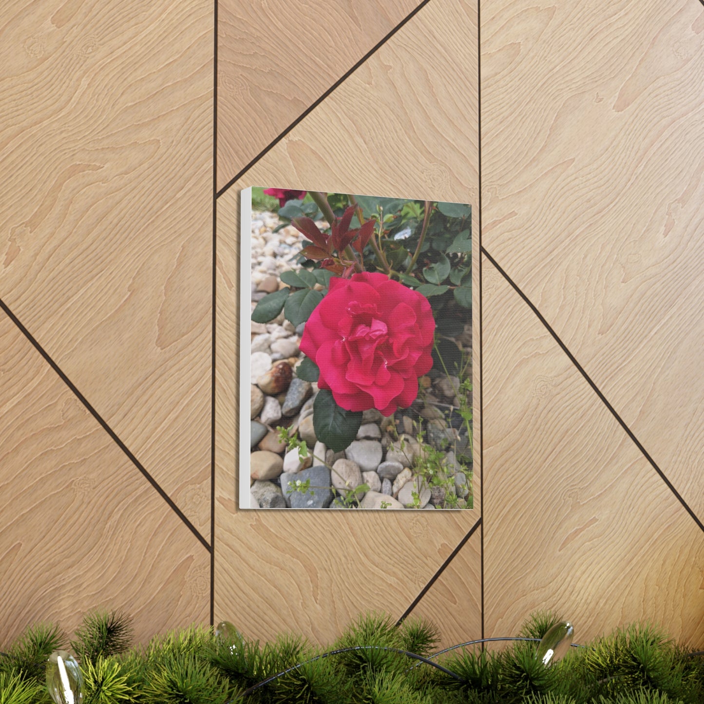 A Garden Rose - Canvas Gallery Wraps
