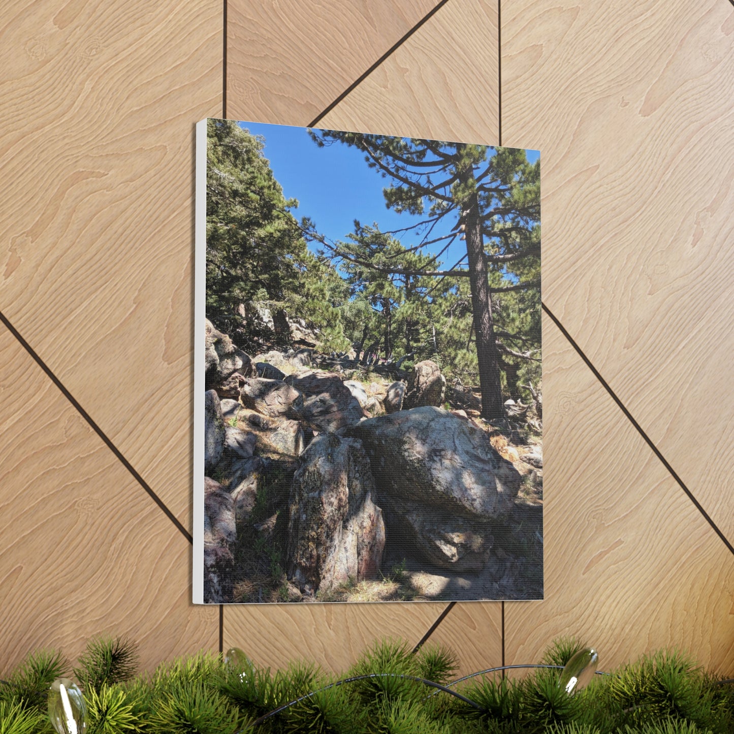 Mount San Jacinto State Park #2 - Canvas Gallery Wraps