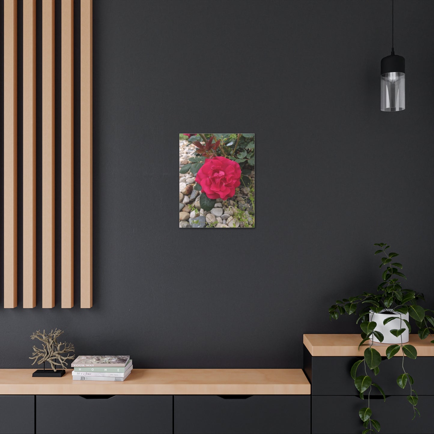 A Garden Rose - Canvas Gallery Wraps