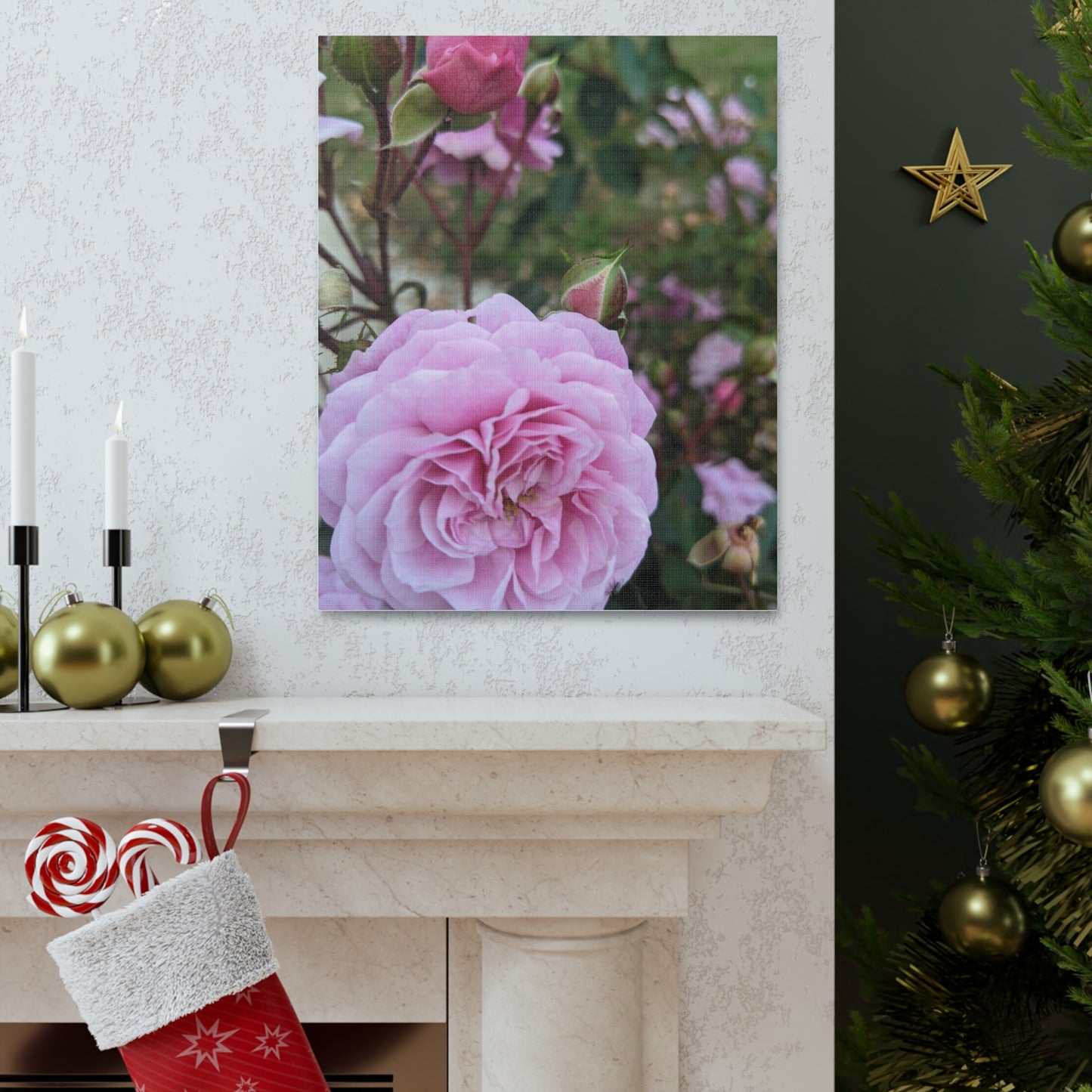 Pink Garden Roses - Canvas Gallery Wraps