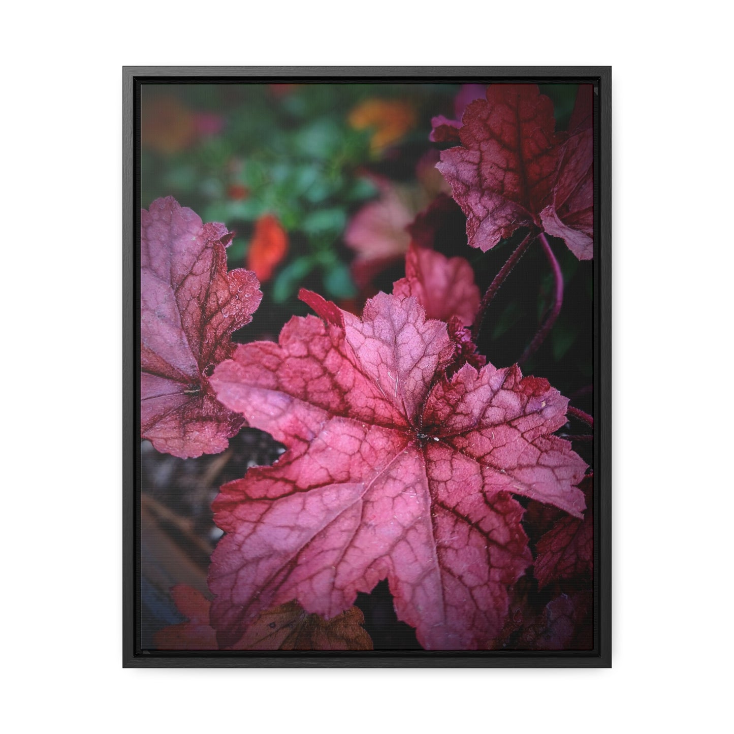 Vibrant leaves