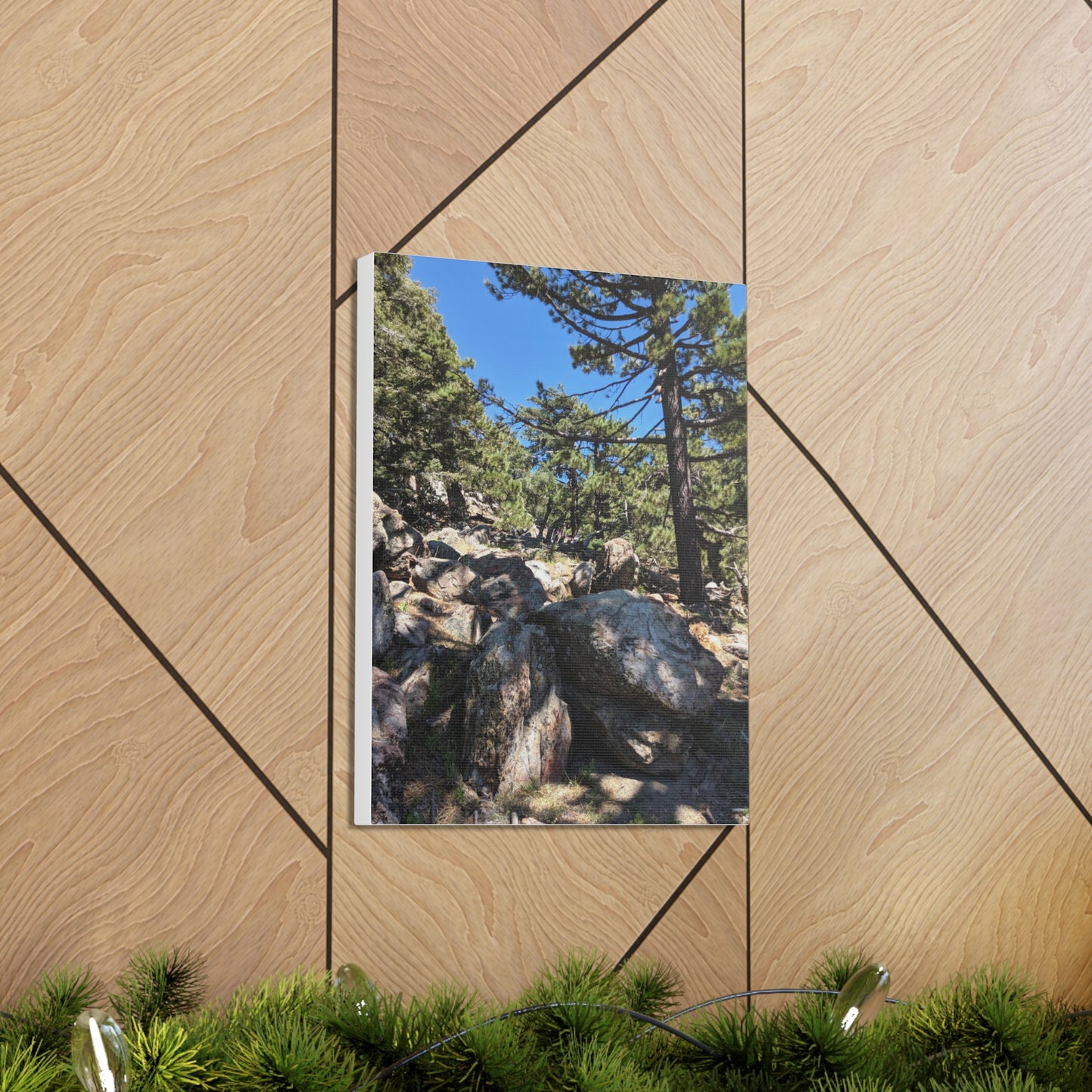 Mount San Jacinto State Park #2 - Canvas Gallery Wraps
