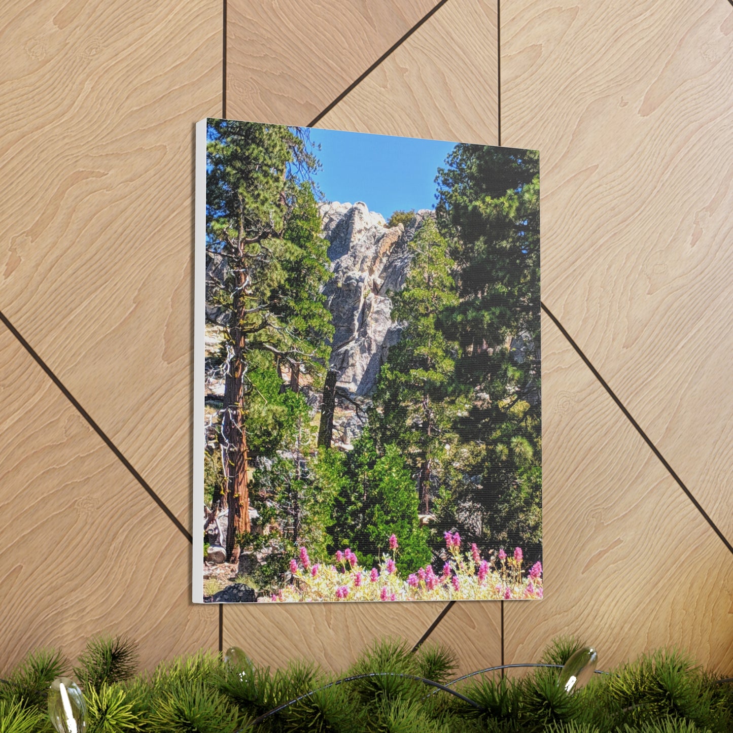 Mount San Jacinto State Park #1 - Canvas Gallery Wraps