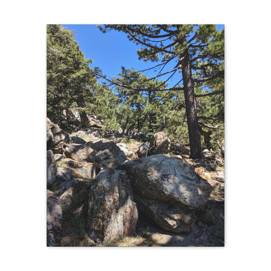 Mount San Jacinto State Park #2 - Canvas Gallery Wraps