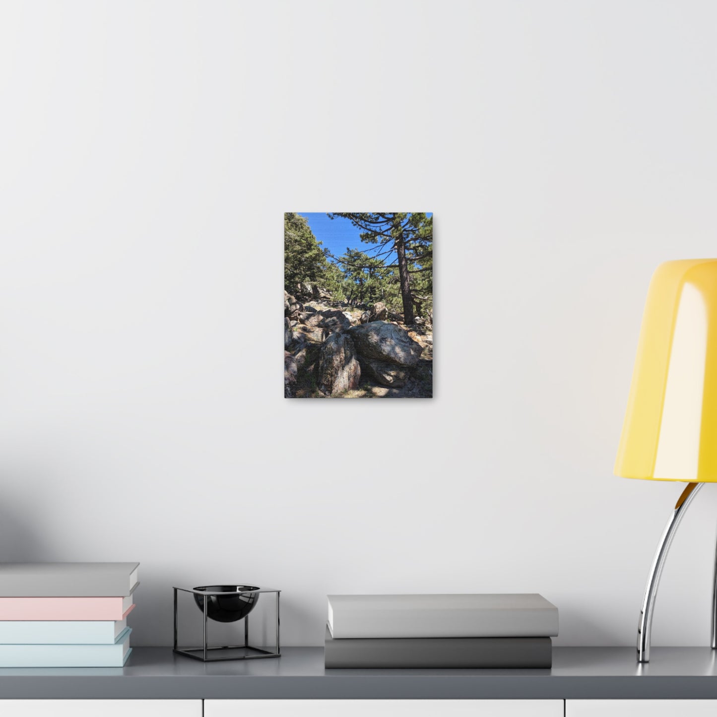 Mount San Jacinto State Park #2 - Canvas Gallery Wraps