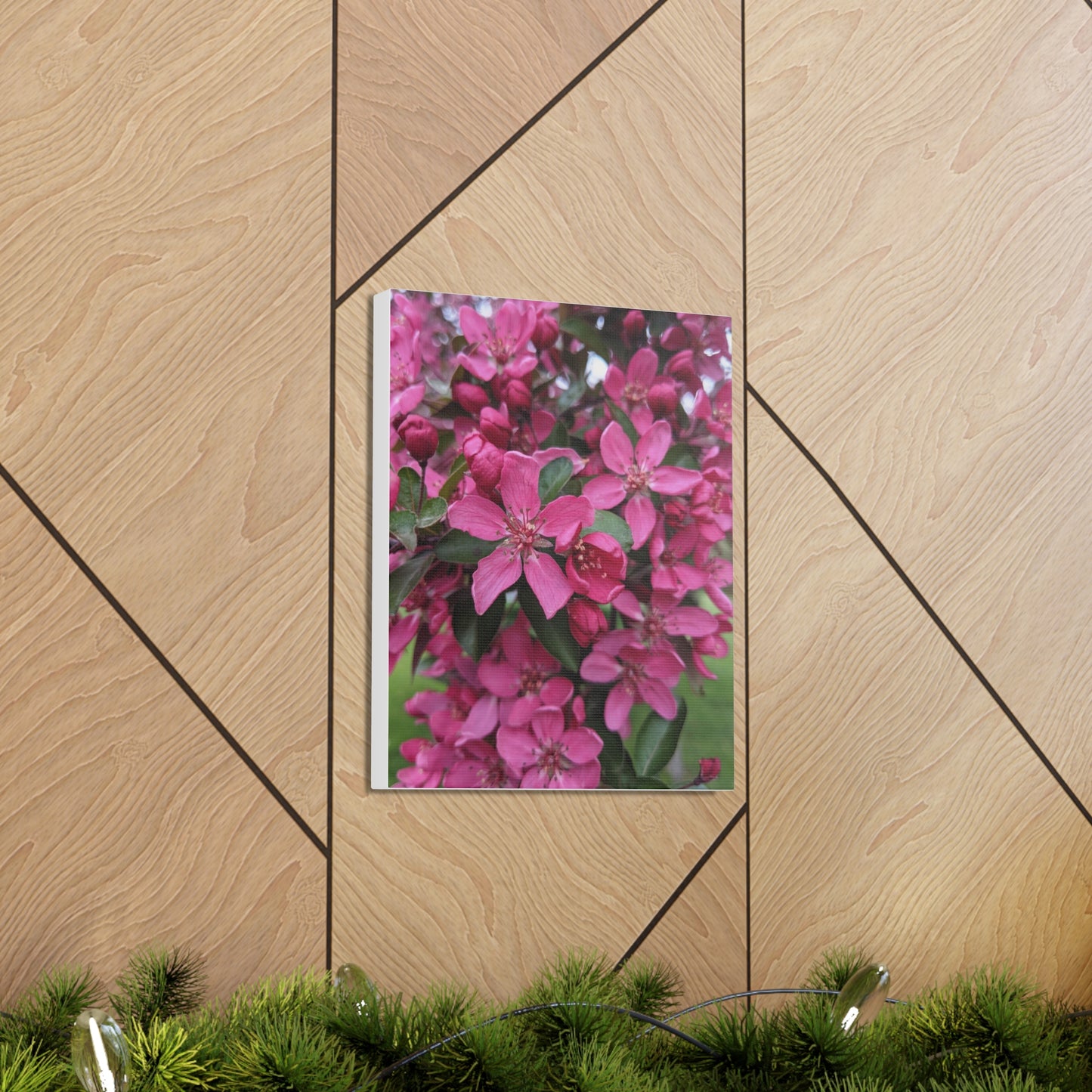 Apple Blossoms - Canvas Gallery Wraps
