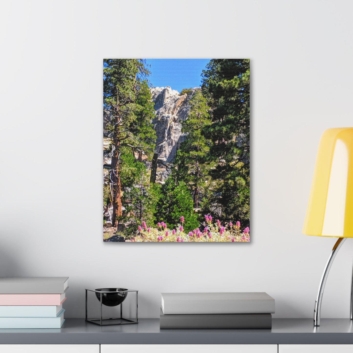 Mount San Jacinto State Park #1 - Canvas Gallery Wraps