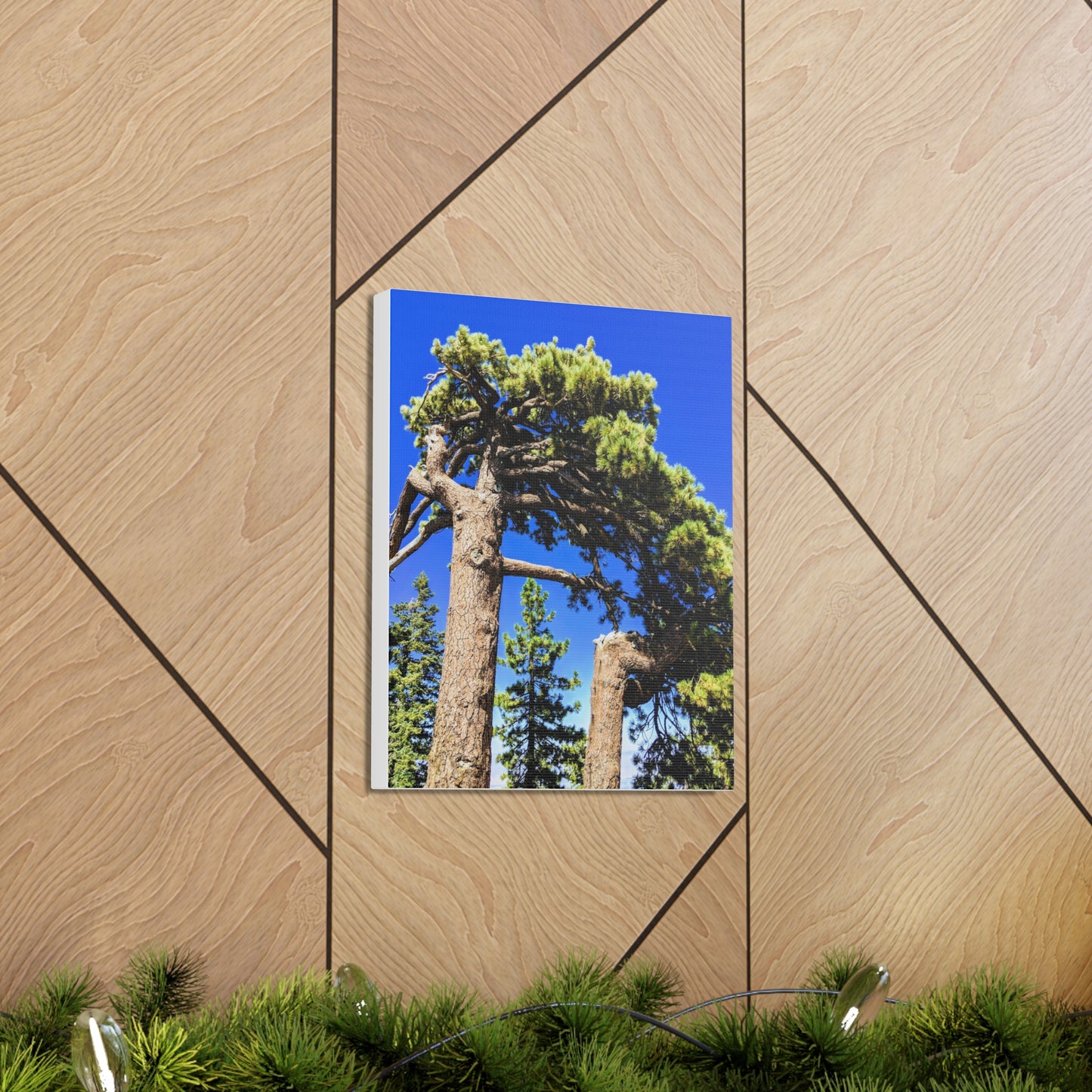Mount San Jacinto State Park #3 - Canvas Gallery Wraps
