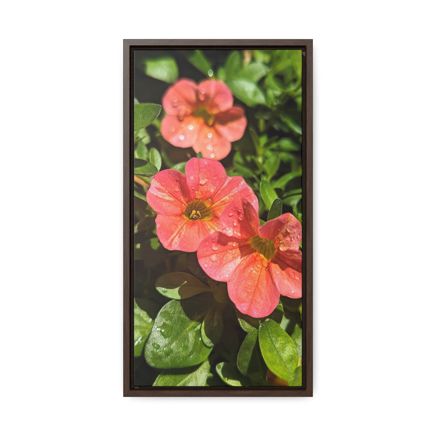 Garden flower after a gentle rain #2