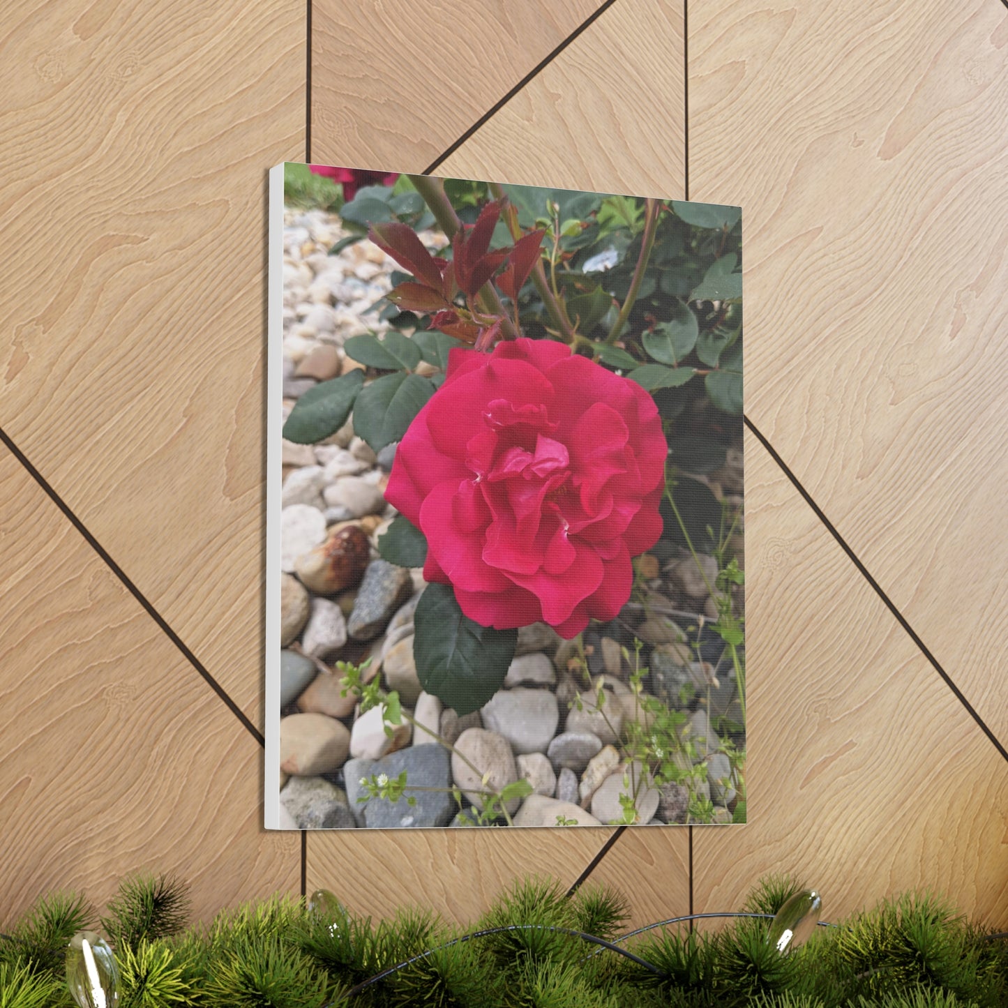 A Garden Rose - Canvas Gallery Wraps