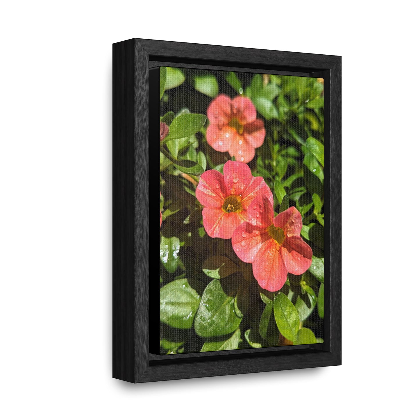 Garden flower after a gentle rain #2