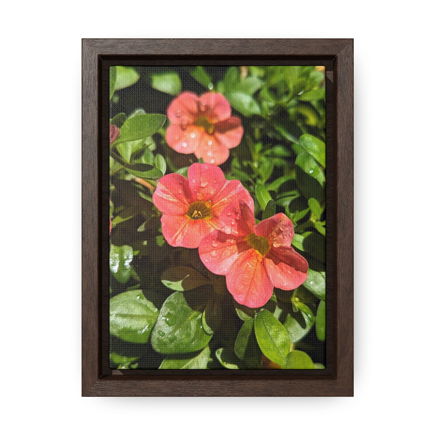 Garden flower after a gentle rain #2