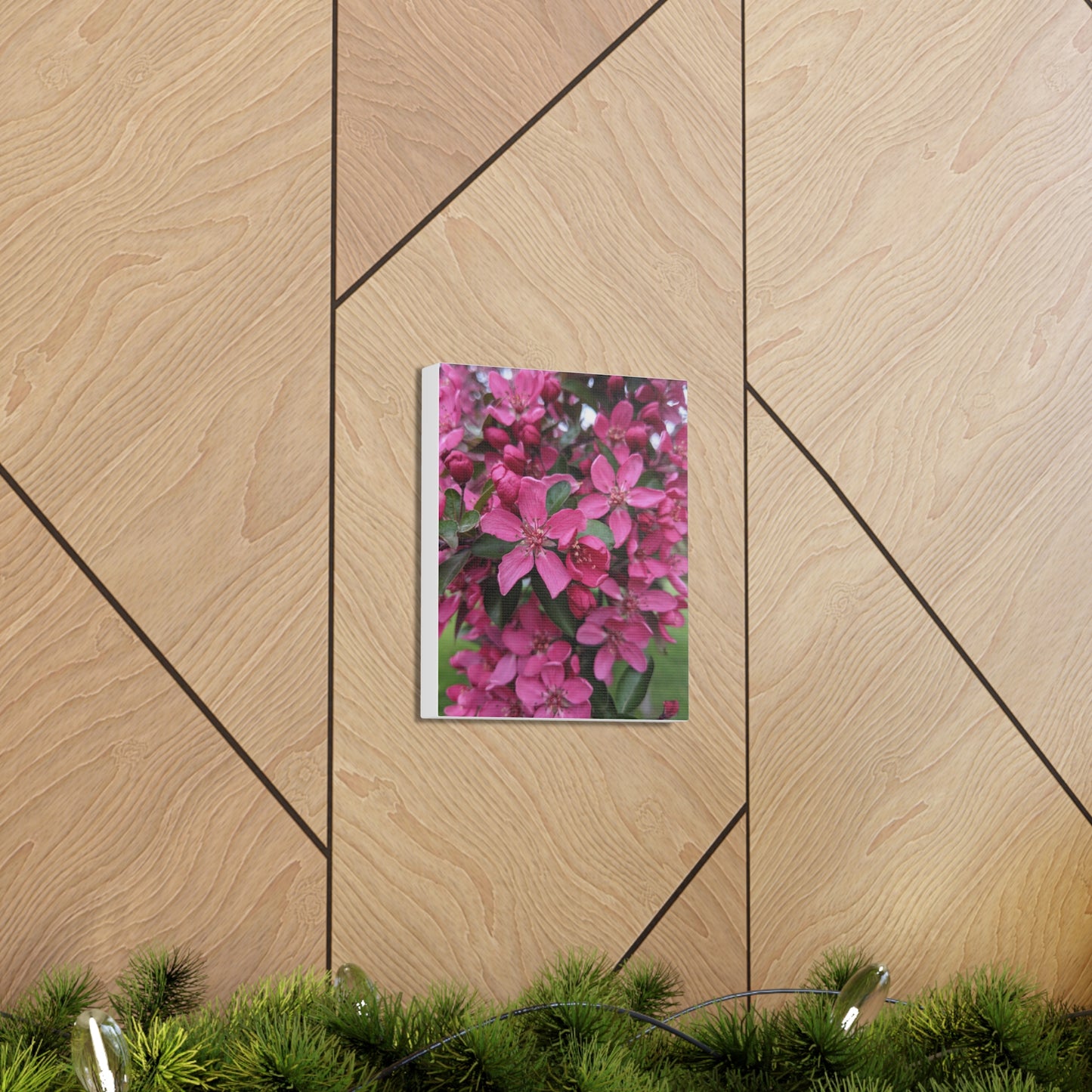 Apple Blossoms - Canvas Gallery Wraps