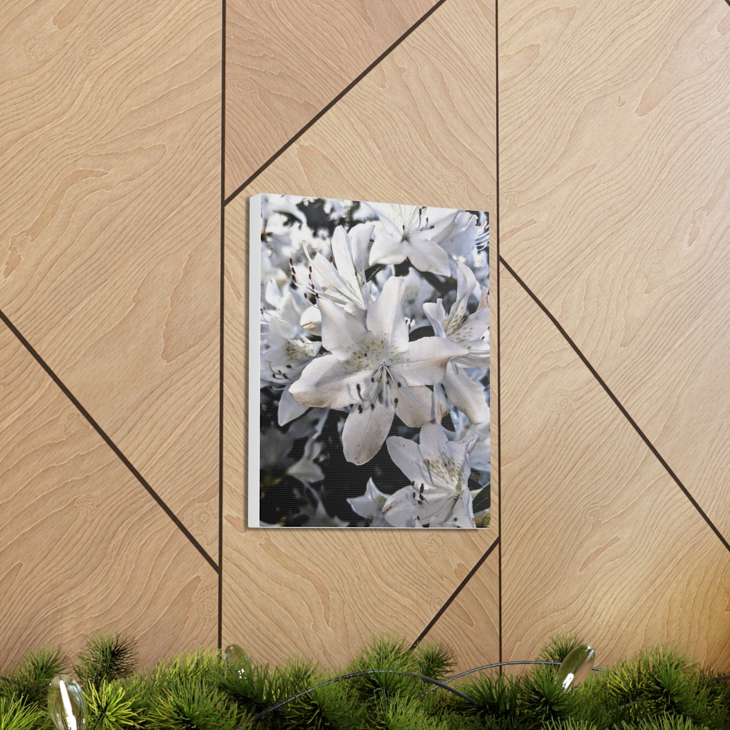 Classic White Blooms - Canvas Gallery Wraps