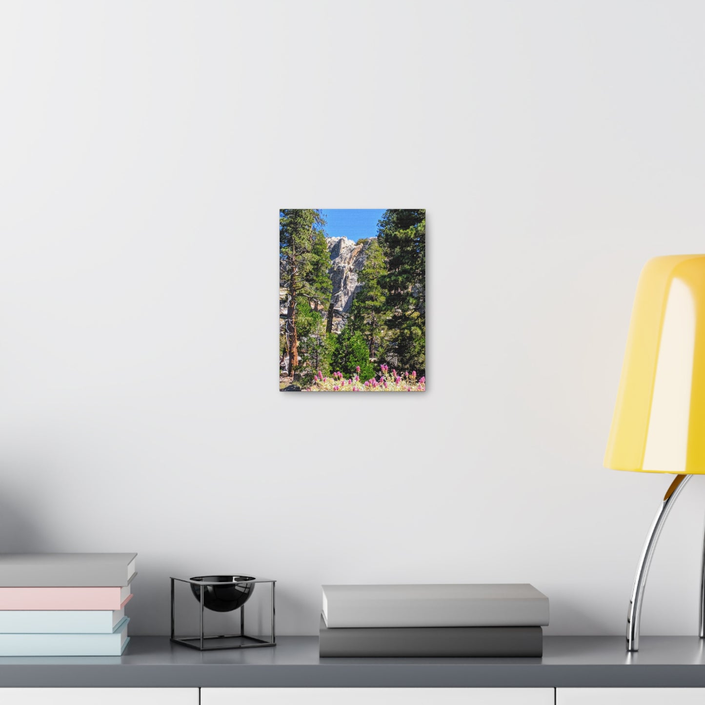 Mount San Jacinto State Park #1 - Canvas Gallery Wraps