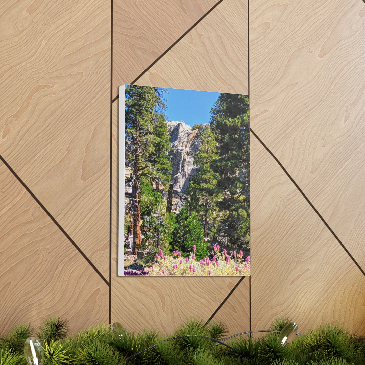 Mount San Jacinto State Park #1 - Canvas Gallery Wraps