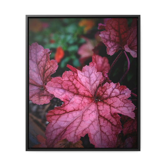 Vibrant leaves