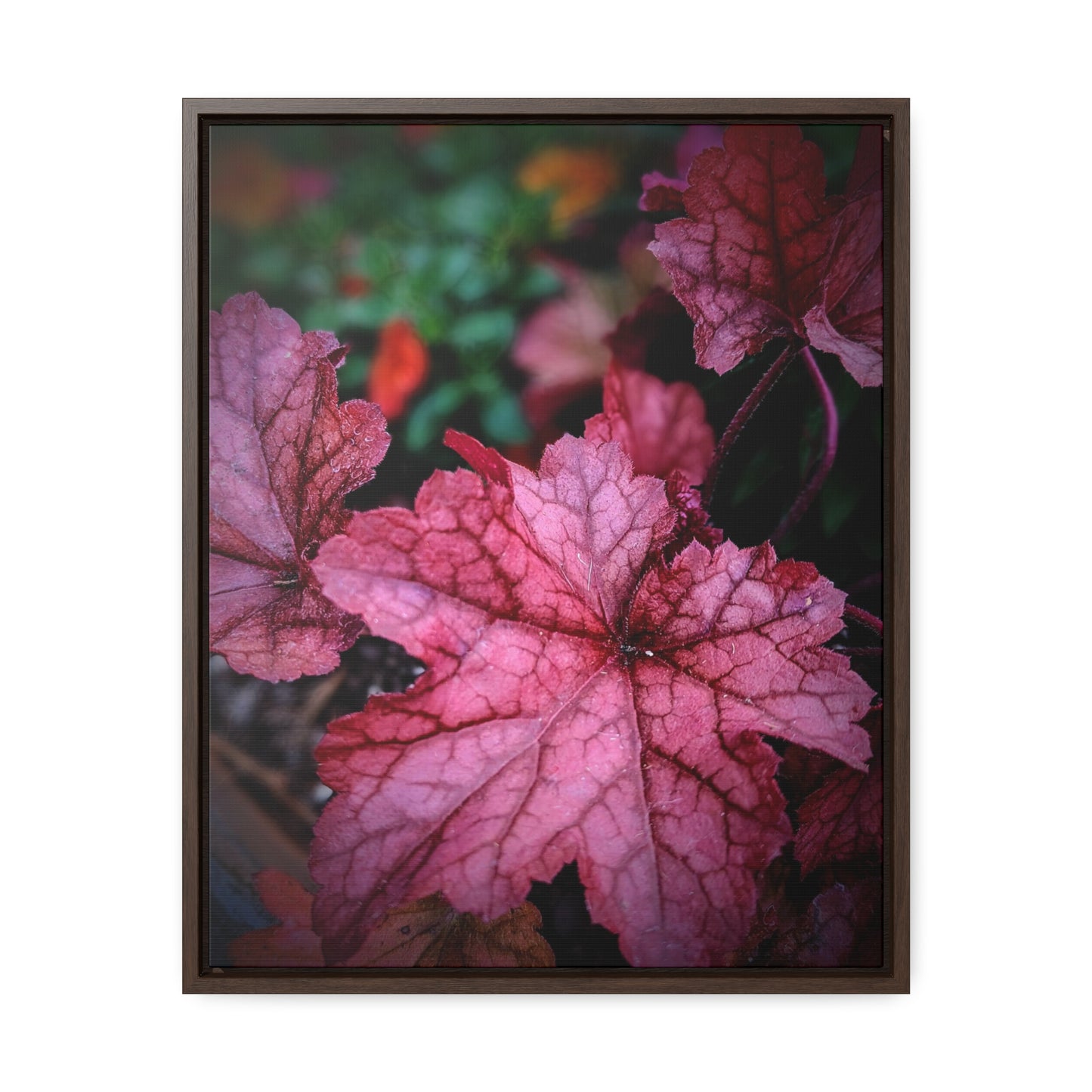 Vibrant leaves